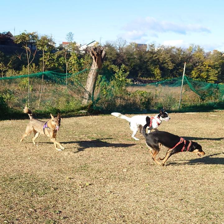 9bd21644 d28e 45d2 94bf e4282c3e5979 1700879259906