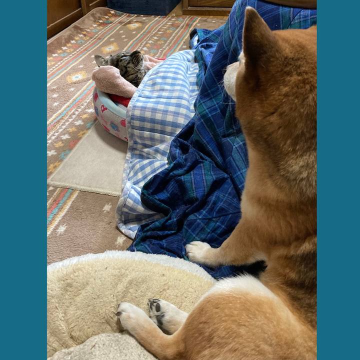 9bd23d23 f516 4ce1 9c18 f833b8c61dda 1643439011115