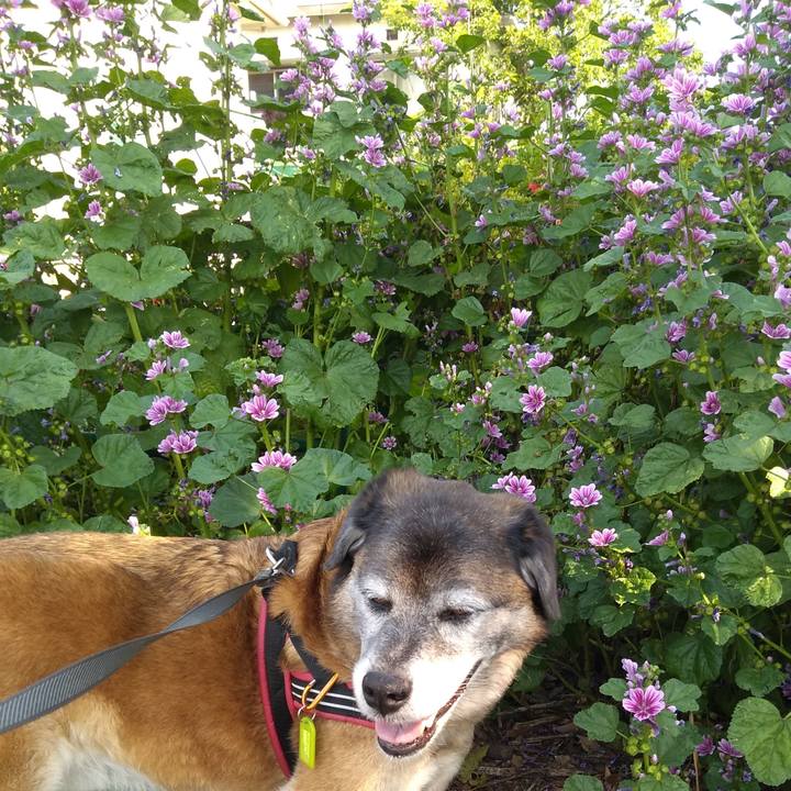 9bd2409c c100 4336 962e 5ecd6793a0e3 1558916168800