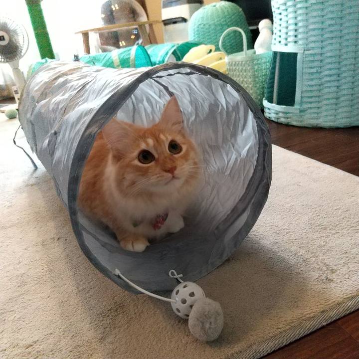 9bd242d5 90a5 4935 9574 4e44f9a353b8 1631001907836