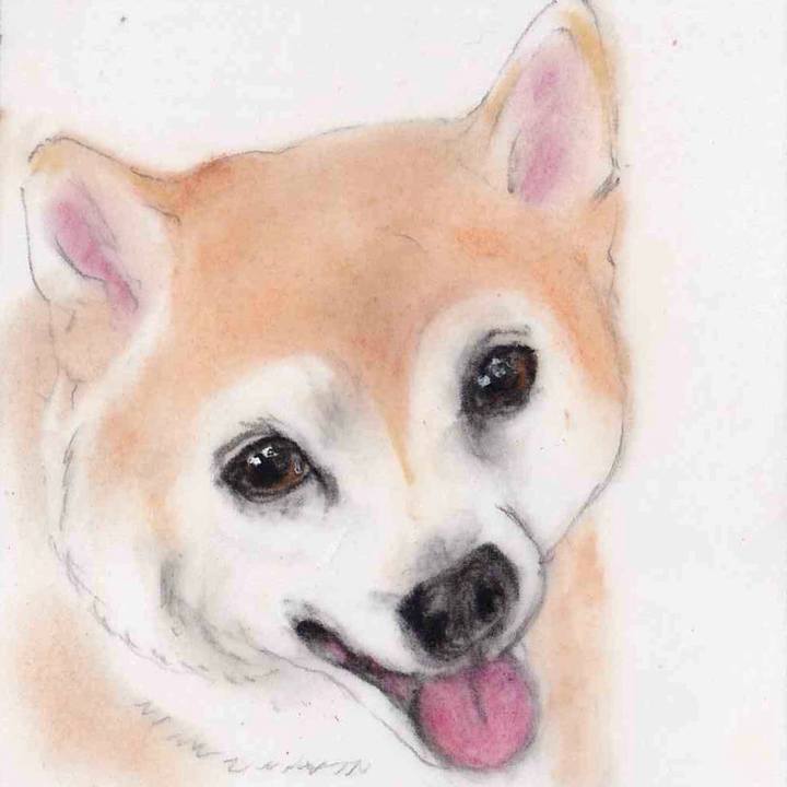 9bd24c1c 8c68 4b82 b3ce f3550ebf0afe 1659191723392