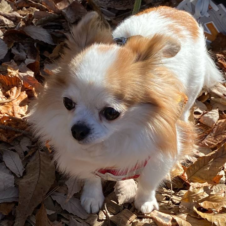 9bd264e6 99b0 4ed1 bdc4 561263442345 1636777456405