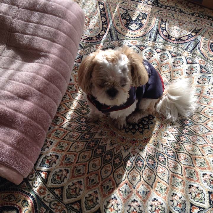 9bd274ae 39cb 43bd 90d2 79645ffb4a21 1512336709131