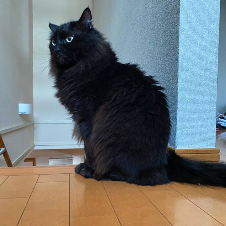 9bd27799 7689 4166 b73b 88bae873cb23 1580514446287