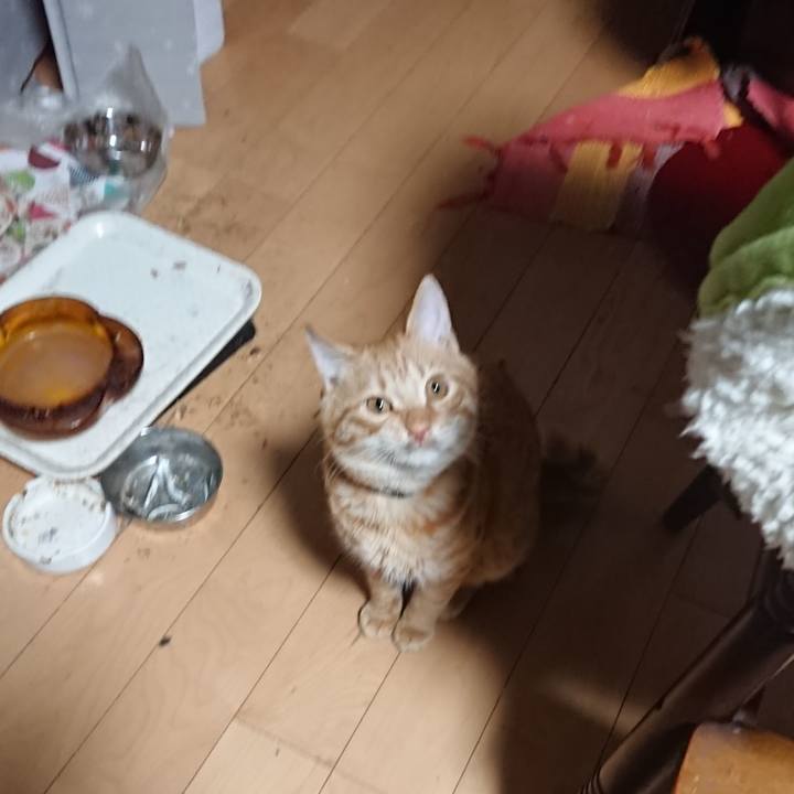 9bd27b4f 5560 473d a25c 6b8e3037760d 1638911269119