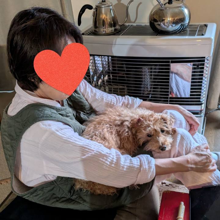 9bd287e7 771f 4744 a9fa 7aa316bb1a92 1748598070184