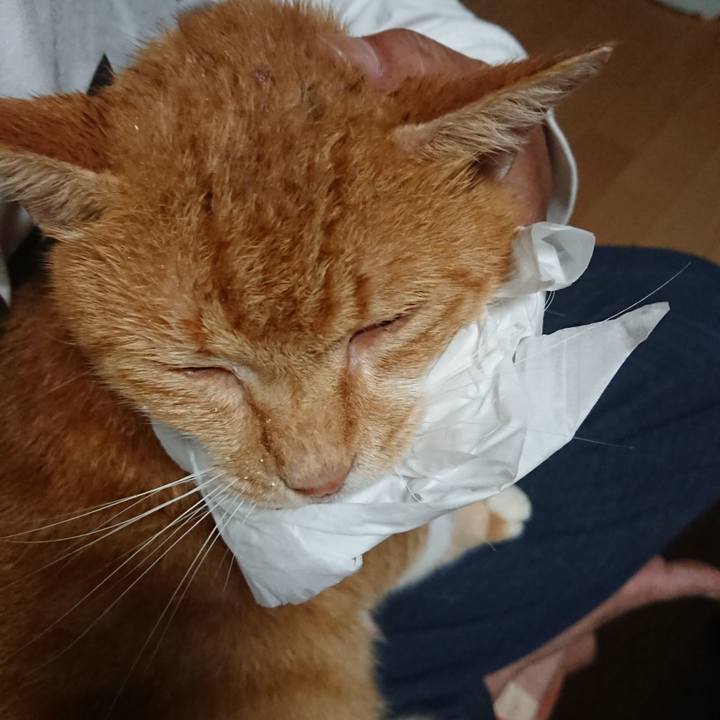 9bd2af44 9196 4693 ab63 61a30d48f266 1599996504152