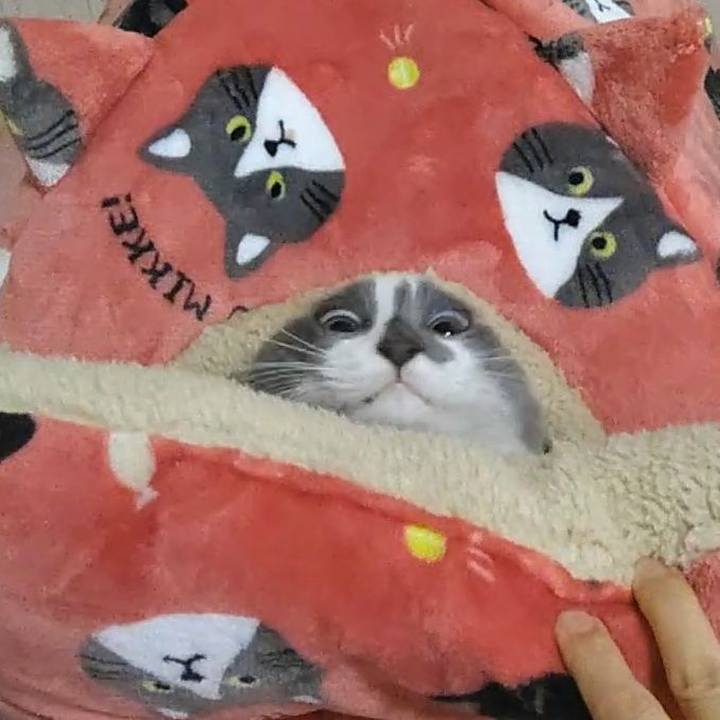 9bd2c200 4843 4768 9cdd cd5dfe3d0ad1 1571523860475