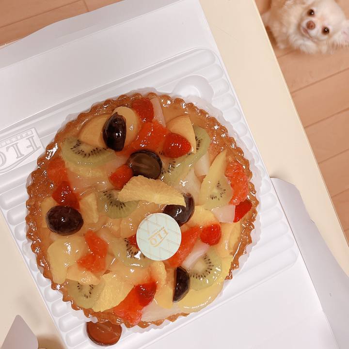 9bd315d8 9102 4734 804e 486447a73a7f 1663842232508