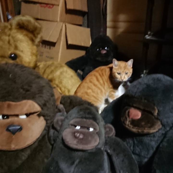 9bd32379 ac9e 4f0c a415 9ddce3b00502 1604053865334