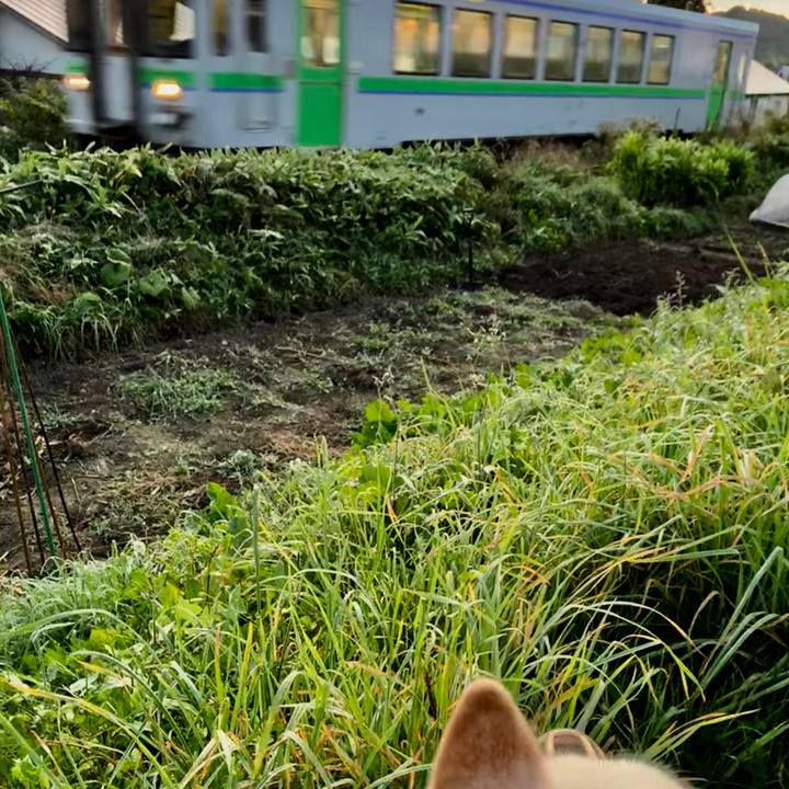 9bd33992 1f2b 42ae 98e8 4bff76c5d5d6 1567633278645