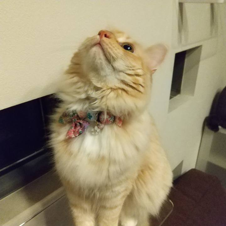 9bd33a30 12c2 45bf a7f0 a39582b9ae4b 1629980592735