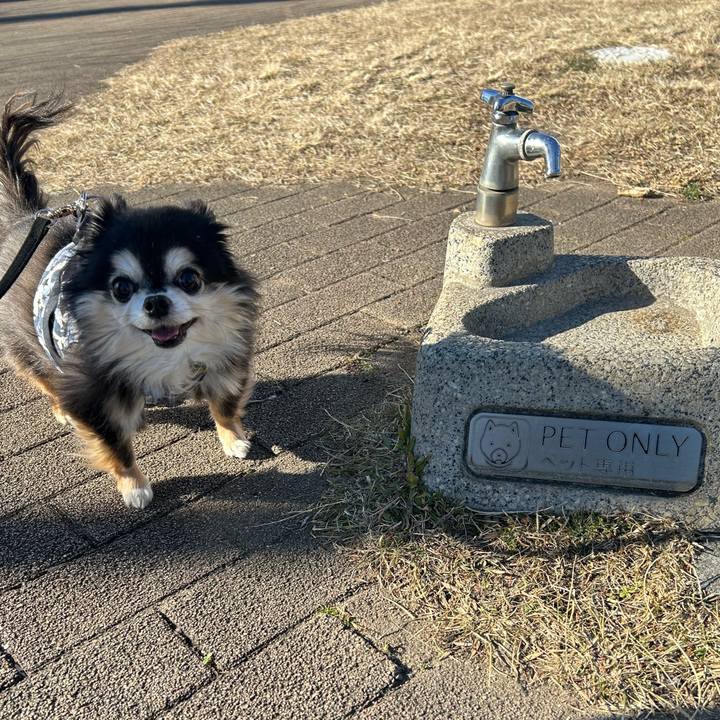 9bd3549b 66f2 47fc 8e38 7ae4e68c1703 1769931467474