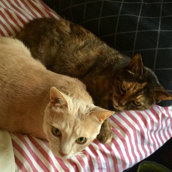 9bd3741f d193 4855 93eb 12297ed00290 1591223901815