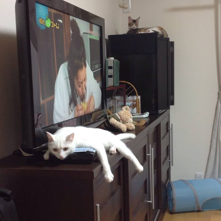 9bd37eb4 1832 45f6 b064 6ed04f2bd1ad 1630191081894