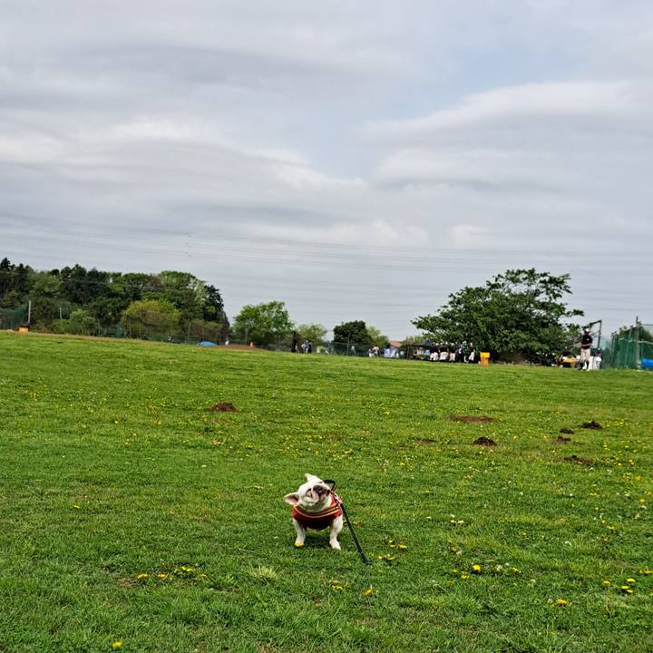 9bd39084 5ebd 4501 8350 40c802aac93e 1713875252684