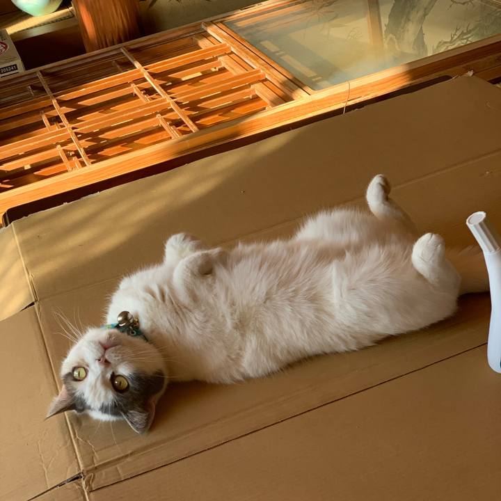 9bd39141 d74a 4d50 ac00 30ada0c3c991 1640825791838