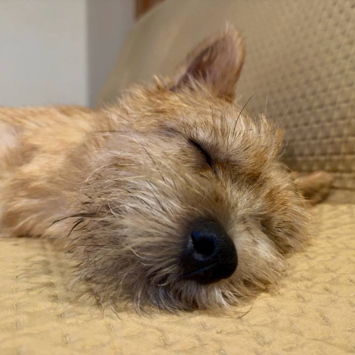 9bd418be bd51 41ef b3bf 2854f090d1fe 1723389646197