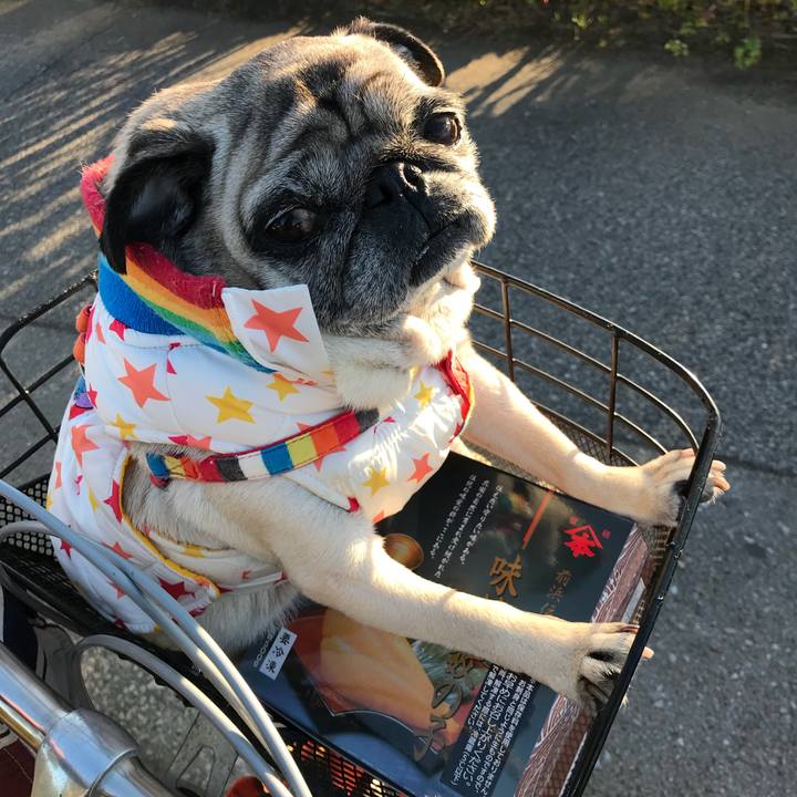 9bd472a5 c706 4a83 a3ce 579cef624ffc 1514443175715