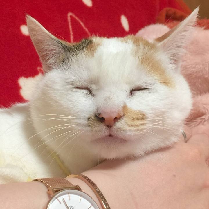 9bd4a557 1dca 4f7b a253 b0dbaca042c3 1514035996042