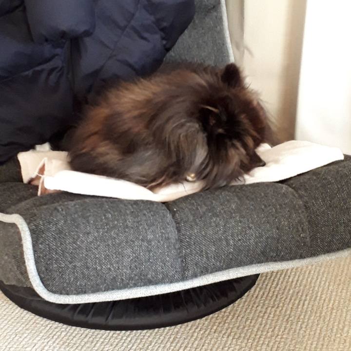 9bd516cf 13cc 477c bfe8 d9baad614883 1517982497190