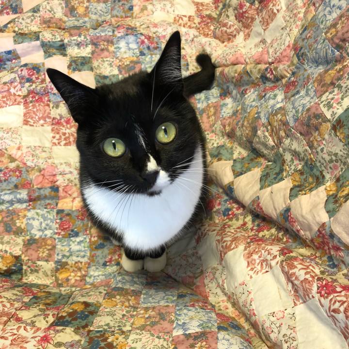 9bd53e8f 6291 44cf 9bfa 0d5b2f0e59c2 1515189090409