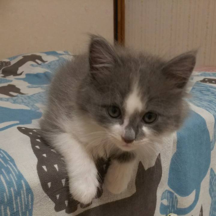 9bd53f53 fe06 4763 b6d8 a34025644a2f 1559957940469