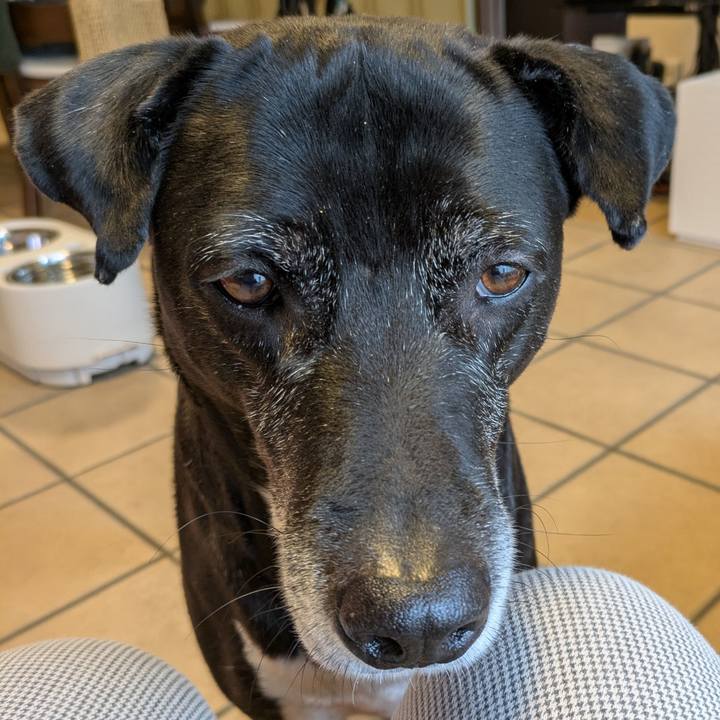 9bd55c04 46e2 4cfe 94d3 e50a6e999193 1737761575102