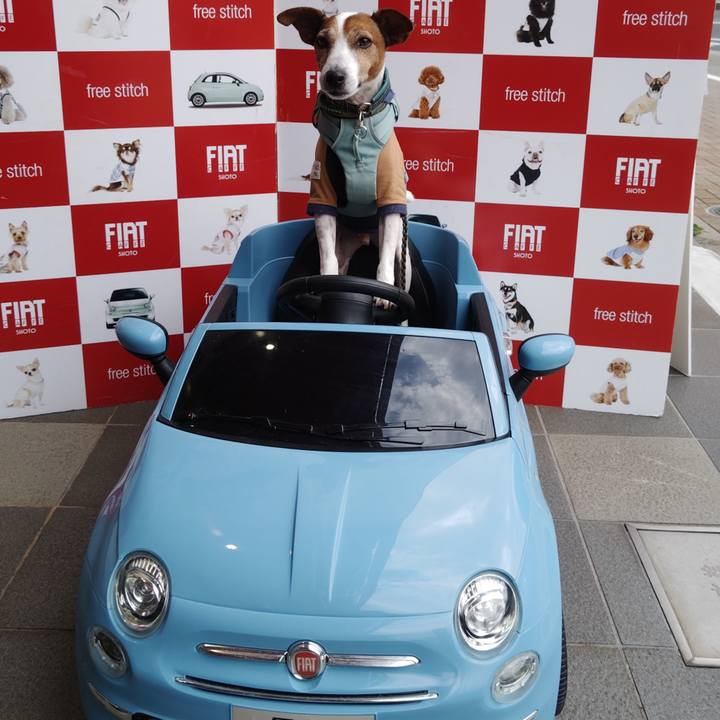 9bd59471 dfcb 41b3 82c3 f4ca110cccd8 1758442270738