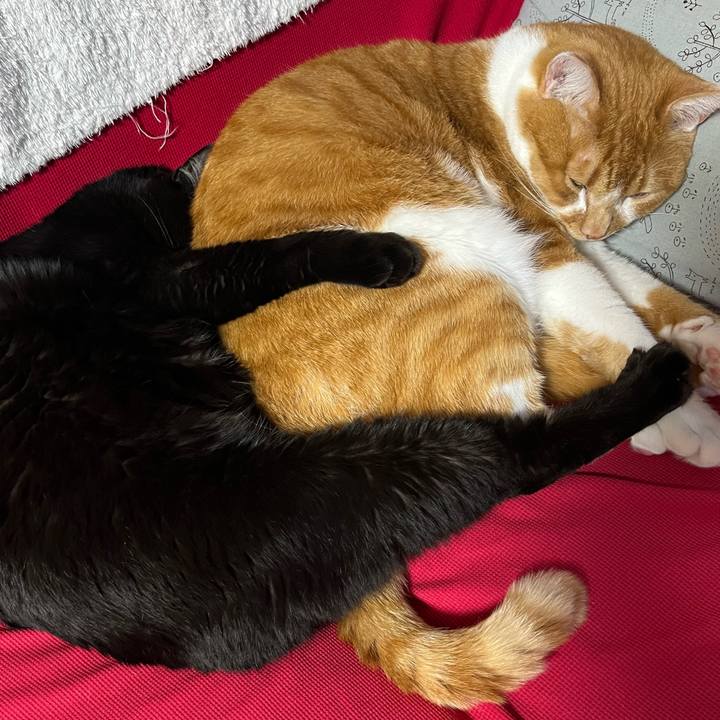 9bd59db5 03e0 4675 8f04 956c868bc269 1734591590156