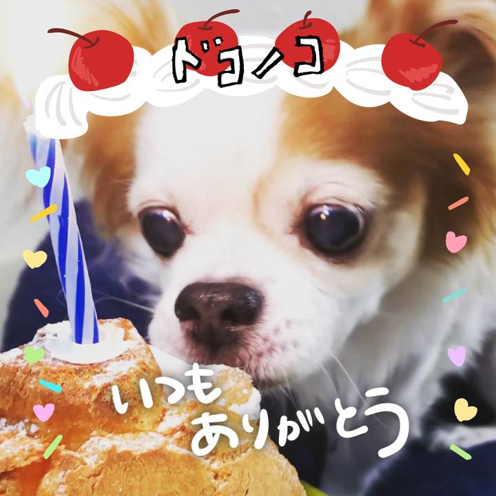 9bd5c729 1f0d 40da 8129 179009de7922 1685980315808