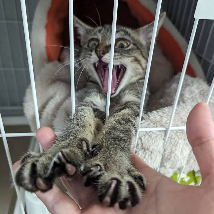 9bd6a257 d1c4 46e6 a131 f502ddca4faf 1703145471812