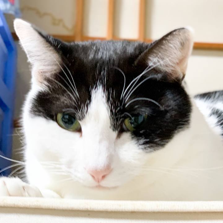 9bd6daf5 8722 462e b919 48bc53e0f8c1 1547861070059