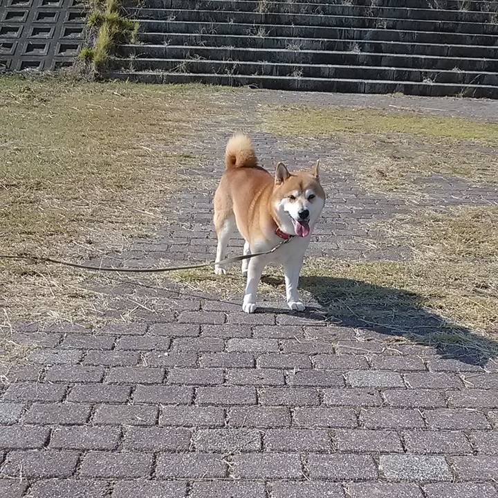 9bd6fe3f 43ee 4e4c 8a5d 177dffe43025 1699155889377