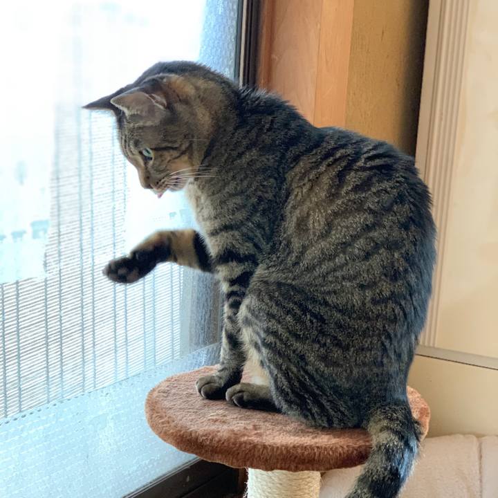 9bd72e37 519a 4591 88ab 8f9d46e9907d 1543539535648