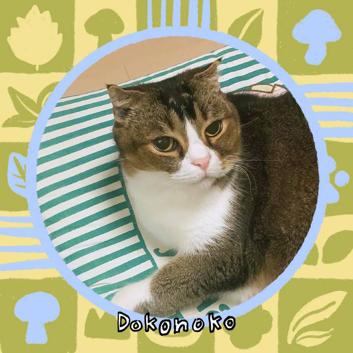 9bd736f2 c8a5 4289 955e 02969625c682 1763647413205