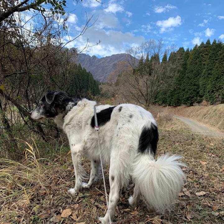 9bd742b6 804d 462c a099 80f76bcd6100 1575721214692