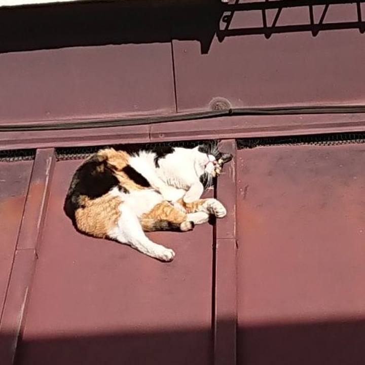 9bd77709 9f97 49cf b8e3 848708a5bc50 1613269686843