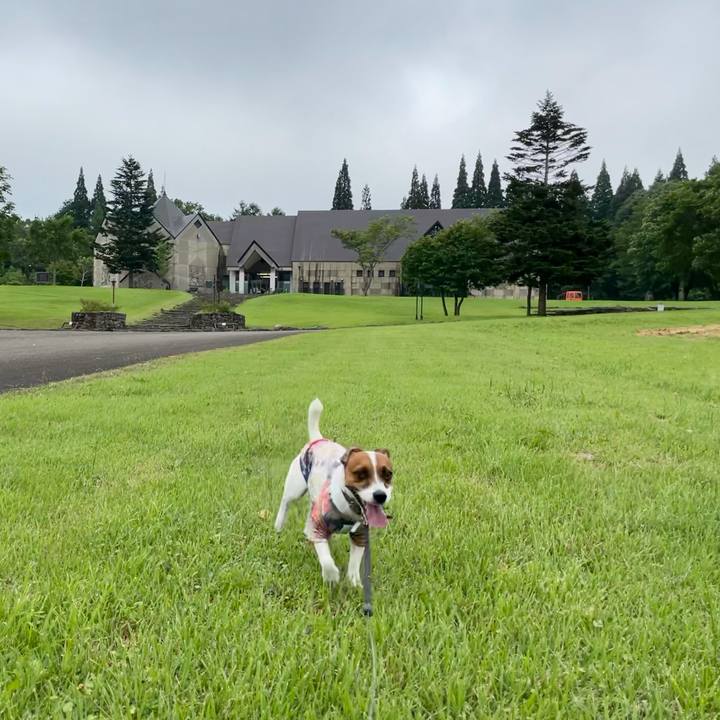 9bd78874 bd3c 4e53 835f d4c4d35623ef 1626854816961