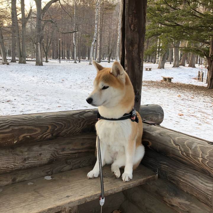 9bd798d8 4182 4119 88f8 e28ba90854ac 1577063599789