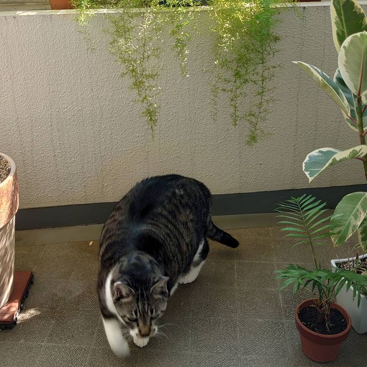 9bd7c3f6 66ee 4a59 96d3 8cb57fcea7c6 1697681534590