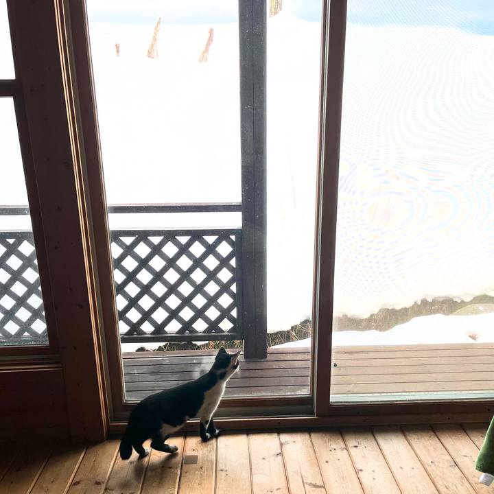 9bd7d73e 6a4f 44a3 8f23 7a313b9d5962 1735542142308