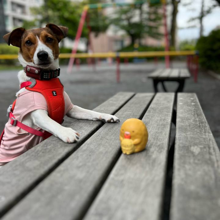 9bd82583 b878 410a a72b 4569273f54e4 1748351289820