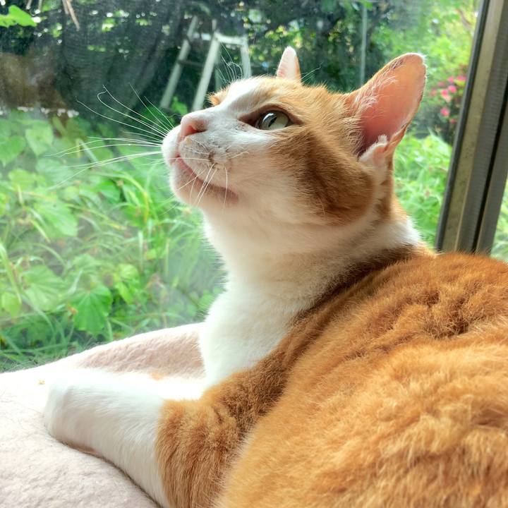 9bd8335e 2659 4d84 8d7a 45b43acafa5d 1562209147500