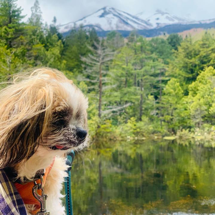 9bd853ec 03f0 4e32 ad99 dfab3ef839de 1747317462511