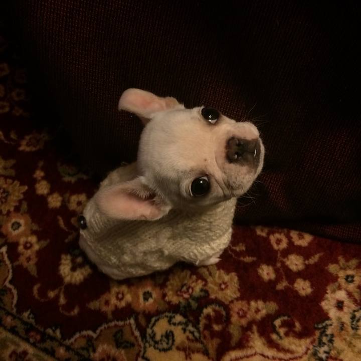 9bd85d35 93ff 4808 b709 3ba0839d81bd 1519207634878