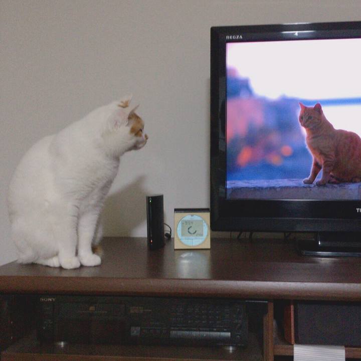 9bd85e35 52f0 426a 83cb 26112cddf3b4 1510319131668