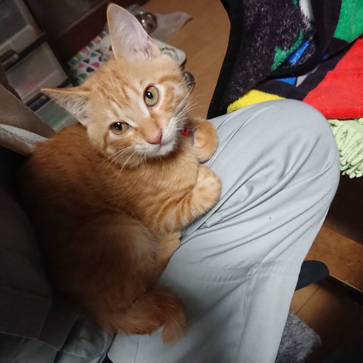 9bd862cc 1542 42a2 abf3 5545f1cf35db 1632778715549