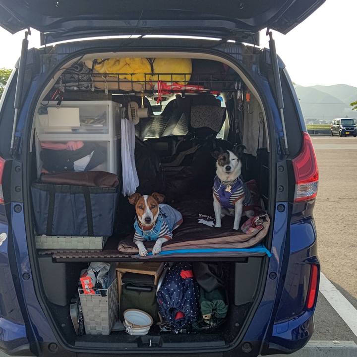 9bd88085 0779 4ec0 bf0a f3180c7a43c4 1684620133597