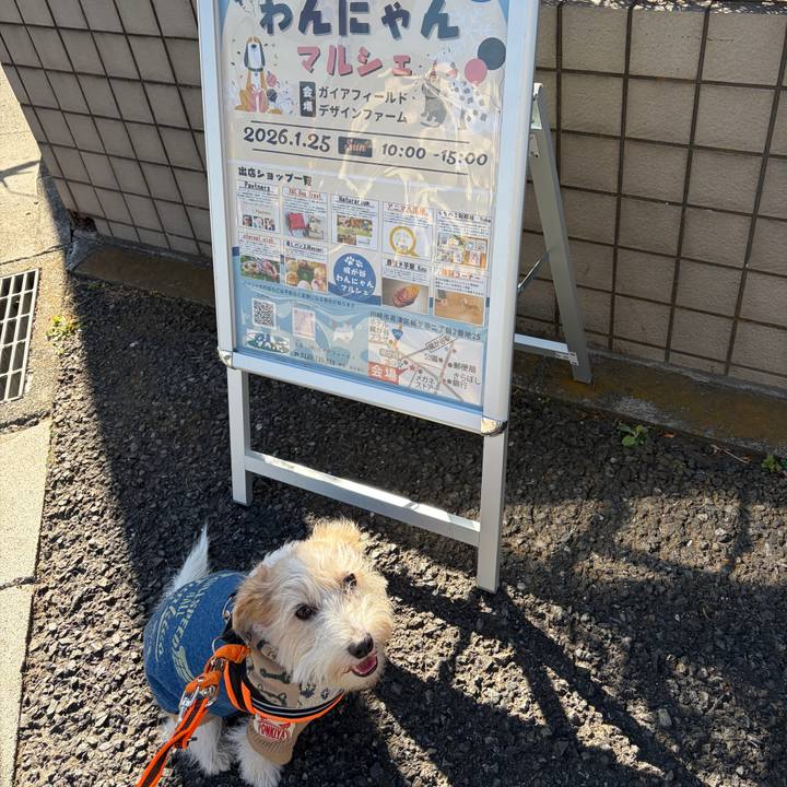 9bd8a409 da9d 4381 9467 0a21516fcea5 1769339124432